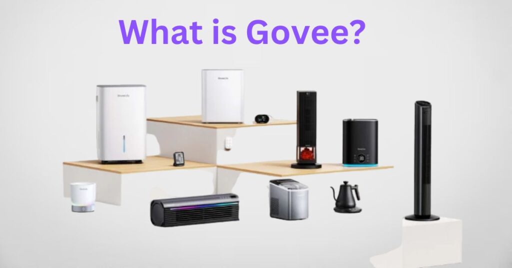 What is Govee?